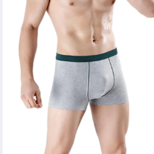 Shorts Cotton BoxersXXCC