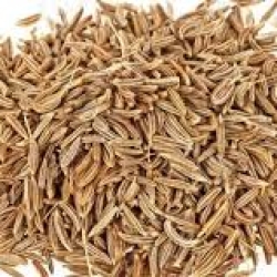 ফ্রেশ জিরা (FEX)