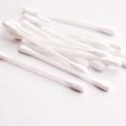 মায়া কটন বাড (XXG)
